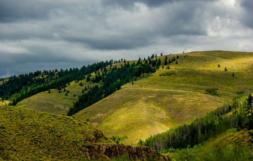 topography