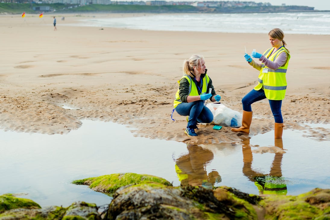 Assessing Environmental Damage